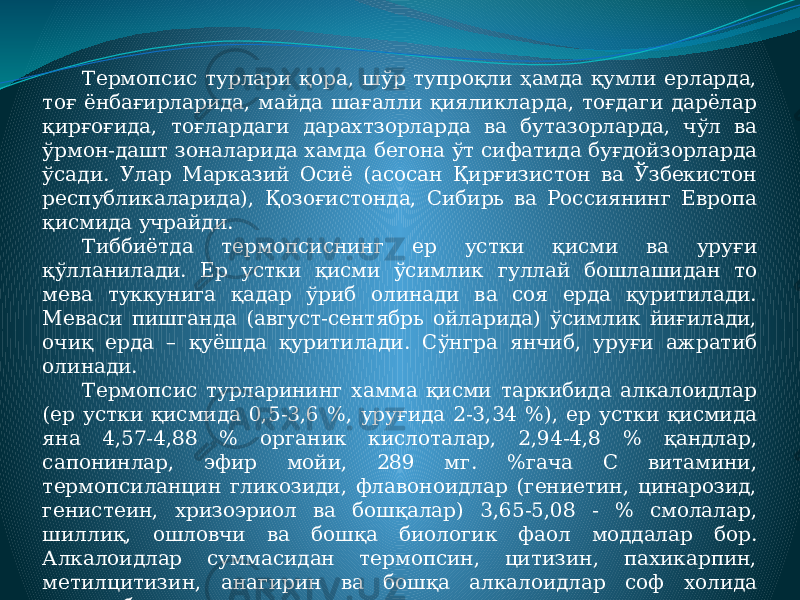 Термопсис турлари қора, шўр тупроқли ҳамда қумли ерларда, тоғ ёнбағирларида, майда шағалли қияликларда, тоғдаги дарёлар қирғоғида, тоғлардаги дарахтзорларда ва бутазорларда, чўл ва ўрмон-дашт зоналарида хамда бегона ўт сифатида буғдойзорларда ўсади. Улар Марказий Осиё (асосан Қирғизистон ва Ўзбекистон республикаларида), Қозоғистонда, Сибирь ва Россиянинг Европа қисмида учрайди. Тиббиётда термопсиснинг ер устки қисми ва уруғи қўлланилади. Ер устки қисми ўсимлик гуллай бошлашидан то мева туккунига қадар ўриб олинади ва соя ерда қуритилади. Меваси пишганда (август-сентябрь ойларида) ўсимлик йиғилади, очиқ ерда – қуёшда қуритилади. Сўнгра янчиб, уруғи ажратиб олинади. Термопсис турларининг хамма қисми таркибида алкалоидлар (ер устки қисмида 0,5-3,6 %, уруғида 2-3,34 %), ер устки қисмида яна 4,57-4,88 % органик кислоталар, 2,94-4,8 % қандлар, сапонинлар, эфир мойи, 289 мг. %гача С витамини, термопсиланцин гликозиди, флавоноидлар (гениетин, цинарозид, генистеин, хризоэриол ва бошқалар) 3,65-5,08 - % смолалар, шиллиқ, ошловчи ва бошқа биологик фаол моддалар бор. Алкалоидлар суммасидан термопсин, цитизин, пахикарпин, метилцитизин, анагирин ва бошқа алкалоидлар соф холида ажратиб олинган. 