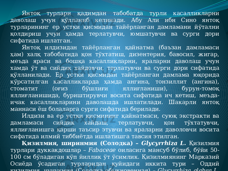 Янтоқ турлари қадимдан табобатда турли касалликларни даволаш учун қўлланиб келинади. Абу Али ибн Сино янтоқ турларининг ер устки қисмидан тайёрланган дамламани йўтални қолдириш учун ҳамда терлатувчи, юмшатувчи ва сурги дори сифатида ишлатган. Янтоқ илдизидан тайёрланган қайнатма (баъзан дамламаси ҳам) халқ табобатида қон тўхтатиш, дизентерия, бавосил, жигар, меъда яраси ва бошқа касалликларни, яраларни даволаш учун хамда ўт ва сийдик хайдовчи, терлатувчи ва сурги дори сифатида қўлланилади. Ер устки қисмидан тайёрланган дамлама юқорида кўрсатилган касалликларда ҳамда ангина, тонзиллит (ангина), стоматит (оғиз бўшлиғи яллиғланиши), бурун-томоқ яллиғланишида, буриштирувчи восита сифатида ич кетиш, меъда- ичак касалликларини даволашда ишлатилади. Шакарли янтоқ маннаси ёш болаларга сурги сифатида берилади. Илдизи ва ер устки қисмининг қайнатмаси, суюқ экстракти ва дамламаси сийдик хайдаш, терлатувчи, қон тўхтатувчи, яллиғланишга қарши таъсир этувчи ва яраларни даволовчи восита сифатида илмий тиббиётда ишлатишга тавсия этилган. Қизилмия, ширинмия (Солодка) – Glycyrrhiza L. Қизилмия турлари дуккакдошлар – Fabaceae оиласига мансуб бўлиб, бўйи 50- 100 см бўладиган кўп йиллик ўт ўсимлик. Қизилмиянинг Марказий Осиёда ўсадиган турларидан қуйидаги иккита тури – Оддий қизилмия, чучукмия (Солодка обыкновенная) – Glycyrrhiza glabra L. ва Урал қизилмияси Glycyrrhiza uralensis Fisch. 