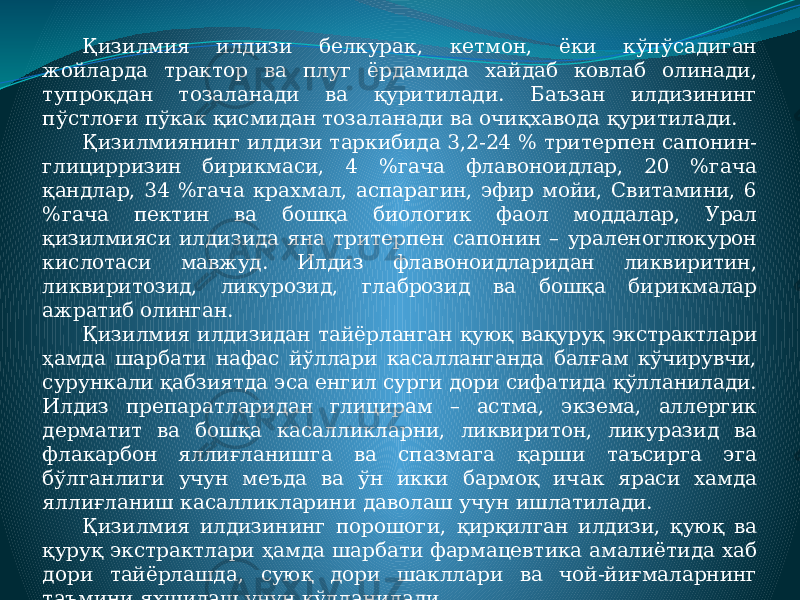 Қизилмия илдизи белкурак, кетмон, ёки кўпўсадиган жойларда трактор ва плуг ёрдамида хайдаб ковлаб олинади, тупроқдан тозаланади ва қуритилади. Баъзан илдизининг пўстлоғи пўкак қисмидан тозаланади ва очиқхавода қуритилади. Қизилмиянинг илдизи таркибида 3,2-24 % тритерпен сапонин- глицирризин бирикмаси, 4 %гача флавоноидлар, 20 %гача қандлар, 34 %гача крахмал, аспарагин, эфир мойи, Свитамини, 6 %гача пектин ва бошқа биологик фаол моддалар, Урал қизилмияси илдизида яна тритерпен сапонин – ураленоглюкурон кислотаси мавжуд. Илдиз флавоноидларидан ликвиритин, ликвиритозид, ликурозид, глаброзид ва бошқа бирикмалар ажратиб олинган. Қизилмия илдизидан тайёрланган қуюқ вақуруқ экстрактлари ҳамда шарбати нафас йўллари касалланганда балғам кўчирувчи, сурункали қабзиятда эса енгил сурги дори сифатида қўлланилади. Илдиз препаратларидан глицирам – астма, экзема, аллергик дерматит ва бошқа касалликларни, ликвиритон, ликуразид ва флакарбон яллиғланишга ва спазмага қарши таъсирга эга бўлганлиги учун меъда ва ўн икки бармоқ ичак яраси хамда яллиғланиш касалликларини даволаш учун ишлатилади. Қизилмия илдизининг порошоги, қирқилган илдизи, қуюқ ва қуруқ экстрактлари ҳамда шарбати фармацевтика амалиётида хаб дори тайёрлашда, суюқ дори шакллари ва чой-йиғмаларнинг таъмини яхшилаш учун қўлланилади. 