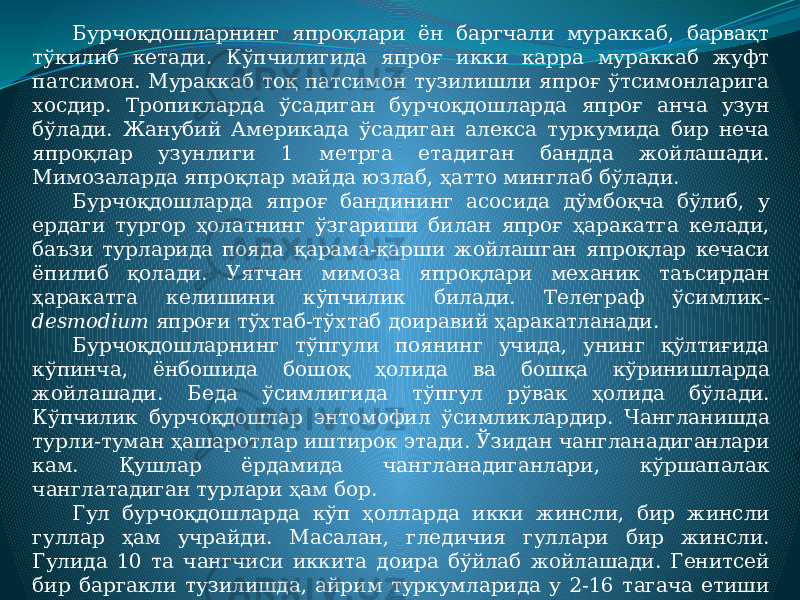 Бурчоқдошларнинг япроқлари ён баргчали мураккаб, барвақт тўкилиб кетади. Кўпчилигида япроғ икки карра мураккаб жуфт патсимон. Мураккаб тоқ патсимон тузилишли япроғ ўтсимонларига хосдир. Тропикларда ўсадиган бурчоқдошларда япроғ анча узун бўлади. Жанубий Америкада ўсадиган алекса туркумида бир неча япроқлар узунлиги 1 метрга етадиган бандда жойлашади. Мимозаларда япроқлар майда юзлаб, ҳатто минглаб бўлади. Бурчоқдошларда япроғ бандининг асосида дўмбоқча бўлиб, у ердаги тургор ҳолатнинг ўзгариши билан япроғ ҳаракатга келади, баъзи турларида пояда қарама-қарши жойлашган япроқлар кечаси ёпилиб қолади. Уятчан мимоза япроқлари механик таъсирдан ҳаракатга келишини кўпчилик билади. Телеграф ўсимлик- desmodium япроғи тўхтаб-тўхтаб доиравий ҳаракатланади. Бурчоқдошларнинг тўпгули поянинг учида, унинг қўлтиғида кўпинча, ёнбошида бошоқ ҳолида ва бошқа кўринишларда жойлашади. Беда ўсимлигида тўпгул рўвак ҳолида бўлади. Кўпчилик бурчоқдошлар энтомофил ўсимликлардир. Чангланишда турли-туман ҳашаротлар иштирок этади. Ўзидан чангланадиганлари кам. Қушлар ёрдамида чангланадиганлари, кўршапалак чанглатадиган турлари ҳам бор. Гул бурчоқдошларда кўп ҳолларда икки жинсли, бир жинсли гуллар ҳам учрайди. Масалан, гледичия гуллари бир жинсли. Гулида 10 та чангчиси иккита доира бўйлаб жойлашади. Генитсей бир баргакли тузилишда, айрим туркумларида у 2-16 тагача етиши мумкин. Уруғ тугунчадаги уруғмуртак 15-20 та, баъзи туркумларда биттагина бўлиши мумкин. Тожбаргининг шакли ва ранги ҳам турлича, одатда очиқ рангли бўлади. 