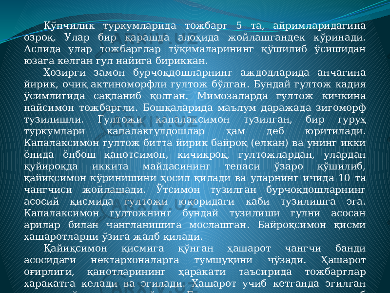 Кўпчилик туркумларида тожбарг 5 та, айримларидагина озроқ. Улар бир қарашда алоҳида жойлашгандек кўринади. Аслида улар тожбарглар тўқималарининг қўшилиб ўсишидан юзага келган гул найига бириккан. Ҳозирги замон бурчоқдошларнинг аждодларида анчагина йирик, очиқ актиноморфли гултож бўлган. Бундай гултож кадия ўсимлигида сақланиб қолган. Мимозаларда гултож кичкина найсимон тожбаргли. Бошқаларида маълум даражада зигоморф тузилишли. Гултожи капалаксимон тузилган, бир гуруҳ туркумлари капалакгулдошлар ҳам деб юритилади. Капалаксимон гултож битта йирик байроқ (елкан) ва унинг икки ёнида ёнбош қанотсимон, кичикроқ, гултожлардан, улардан қуйироқда иккита майдасининг тепаси ўзаро қўшилиб, қайиқсимон кўринишини ҳосил қилади ва уларнинг ичида 10 та чангчиси жойлашади. Ўтсимон тузилган бурчоқдошларнинг асосий қисмида гултожи юқоридаги каби тузилишга эга. Капалаксимон гултожнинг бундай тузилиши гулни асосан арилар билан чангланишига мослашган. Байроқсимон қисми ҳашаротларни ўзига жалб қилади. Қайиқсимон қисмига қўнган ҳашарот чангчи банди асосидаги нектархоналарга тумшуқини чўзади. Ҳашарот оғирлиги, қанотларининг ҳаракати таъсирида тожбарглар ҳаракатга келади ва эгилади. Ҳашарот учиб кетганда эгилган қисмлар ўз ҳолатига қайтади. Бурчоқдошларда мева дуккак деб аталади ва ягона баргакмевадан юзага келади. Уларнинг ташқи кўриниши хилма-хил ва турлича катталикларда бўлади. 