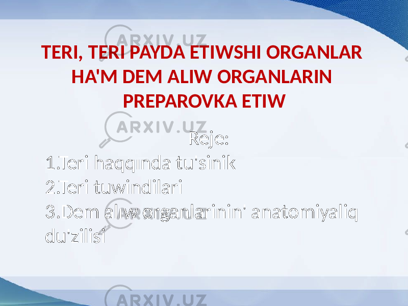 TERI, TERI PAYDA ETIWSHI ORGANLAR HA&#39;M DEM ALIW ORGANLARIN PREPAROVKA ETIW Reje: 1.Teri haqqında tu&#39;sinik 2.Teri tuwindilari 3.Dem alıw organlarinin&#39; anatomiyaliq du&#39;zilisi 