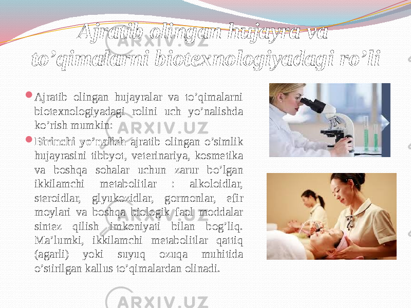 Ajratib olingan hujayra va to’qimalarni biotexnologiyadagi ro’li  Ajratib olingan hujayralar va to’qimalarni biotexnologiyadagi rolini uch yo’nalishda ko’rish mumkin:  Birinchi yo’nalish ajratib olingan o’simlik hujayrasini tibbyot, veterinariya, kosmetika va boshqa sohalar uchun zarur bo’lgan ikkilamchi metabolitlar : alkoloidlar, steroidlar, glyukozidlar, gormonlar, efir moylari va boshqa biologik faol moddalar sintez qilish imkoniyati bilan bog’liq. Ma’lumki, ikkilamchi metabolitlar qattiq (agarli) yoki suyuq ozuqa muhitida o’stirilgan kallus to’qimalardan olinadi. 