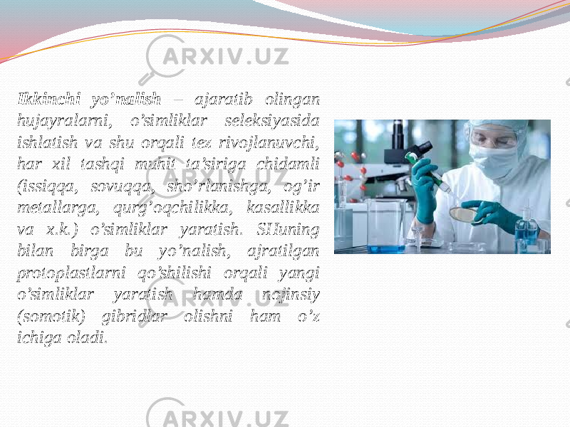 Ikkinchi yo’nalish – ajaratib olingan hujayralarni, o’simliklar seleksiyasida ishlatish va shu orqali tez rivojlanuvchi, har xil tashqi muhit ta’siriga chidamli (issiqqa, sovuqqa, sho’rlanishga, og’ir metallarga, qurg’oqchilikka, kasallikka va x.k.) o’simliklar yaratish. SHuning bilan birga bu yo’nalish, ajratilgan protoplastlarni qo’shilishi orqali yangi o’simliklar yaratish hamda nojinsiy (somotik) gibridlar olishni ham o’z ichiga oladi. 