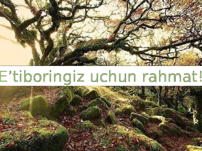  E’tiboringiz uchun rahmat! 