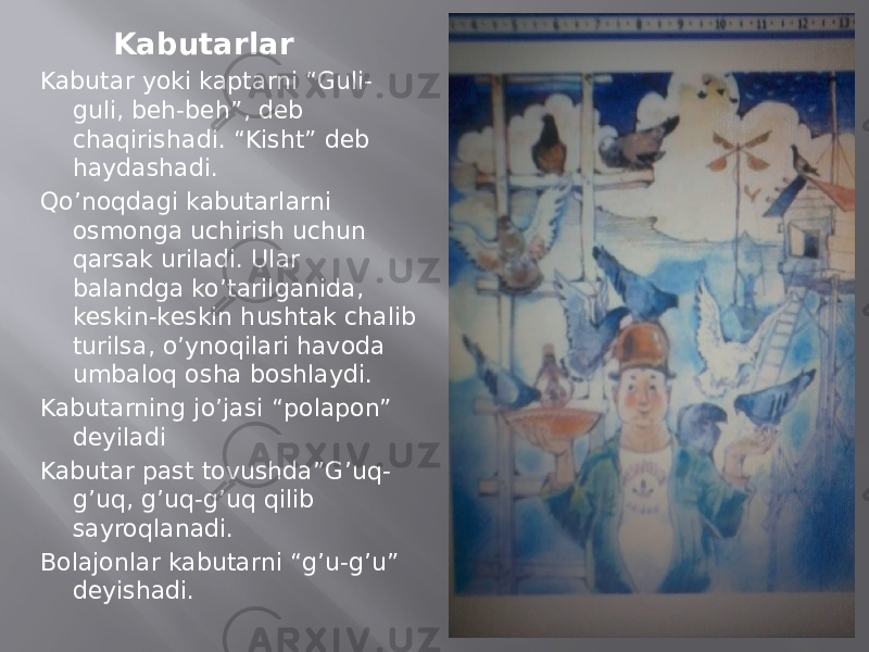  Kabutarlar Kabutar yoki kaptarni “Guli- guli, beh-beh”, deb chaqirishadi. “Kisht” deb haydashadi. Qo’noqdagi kabutarlarni osmonga uchirish uchun qarsak uriladi. Ular balandga ko’tarilganida, keskin-keskin hushtak chalib turilsa, o’ynoqilari havoda umbaloq osha boshlaydi. Kabutarning jo’jasi “polapon” deyiladi Kabutar past tovushda”G’uq- g’uq, g’uq-g’uq qilib sayroqlanadi. Bolajonlar kabutarni “g’u-g’u” deyishadi. 