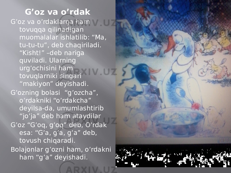  G’oz va o’rdak G’oz va o’rdaklarga ham tovuqqa qilinadigan muomalalar ishlatilib: “Ma, tu-tu-tu”, deb chaqiriladi. “Kisht!” –deb nariga quviladi. Ularning urg’ochisini ham tovuqlarniki singari “makiyon” deyishadi. G’ozning bolasi “g’ozcha”, o’rdakniki “o’rdakcha” deyilsa-da, umumlashtirib “jo’ja” deb ham ataydilar G’oz “G’oq, g’oq” deb, O’rdak esa: “G’a, g’a, g’a” deb, tovush chiqaradi. Bolajonlar g’ozni ham, o’rdakni ham “g’a” deyishadi. 