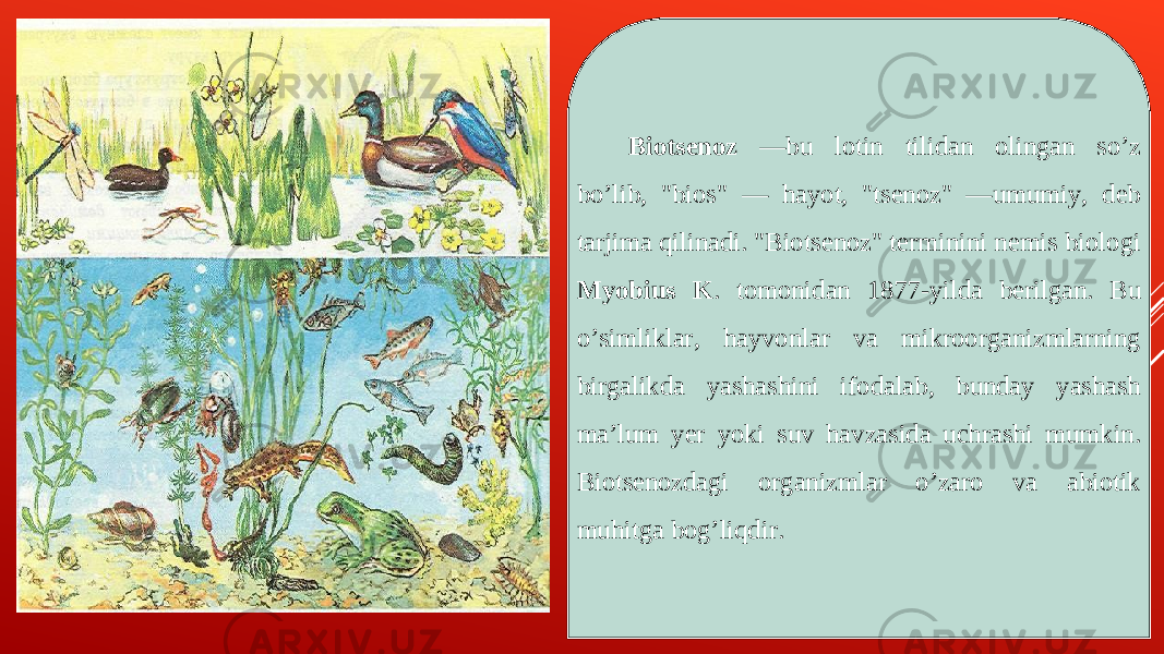 Biotsenoz —bu lotin tilidan olingan soʼz boʼlib, &#34;bios&#34; — hayot, &#34;tsenoz&#34; —umumiy, deb tarjima qilinadi. &#34;Biotsenoz&#34; terminini nemis biologi Myobius K . tomonidan 1877-yilda berilgan. Bu oʼsimliklar, hayvonlar va mikroorganizmlarning birgalikda yashashini ifodalab, bunday yashash maʼlum yer yoki suv havzasida uchrashi mumkin. Biotsenozdagi organizmlar oʼzaro va abiotik muhitga bogʼliqdir. 