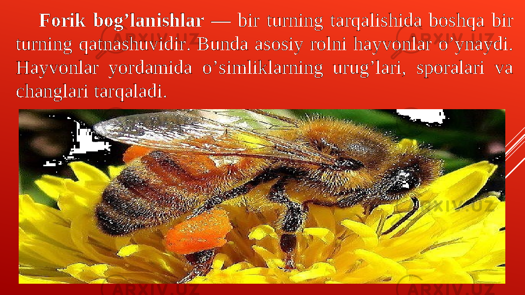 Forik bogʼlanishlar — bir turning tarqalishida boshqa bir turning qatnashuvidir. Bunda asosiy rolni hayvonlar oʼynaydi. Hayvonlar yordamida oʼsimliklarning urugʼlari, sporalari va changlari tarqaladi. 