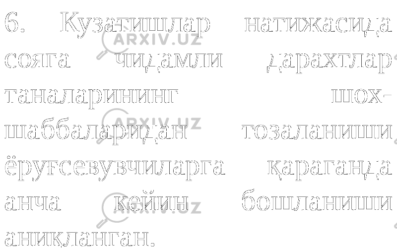 6. Кузатишлар натижасида сояга чидамли дарахтлар таналарининг шох- шаббаларидан тозаланиши ёруғсевувчиларга қараганда анча кейин бошланиши аниқланган. 