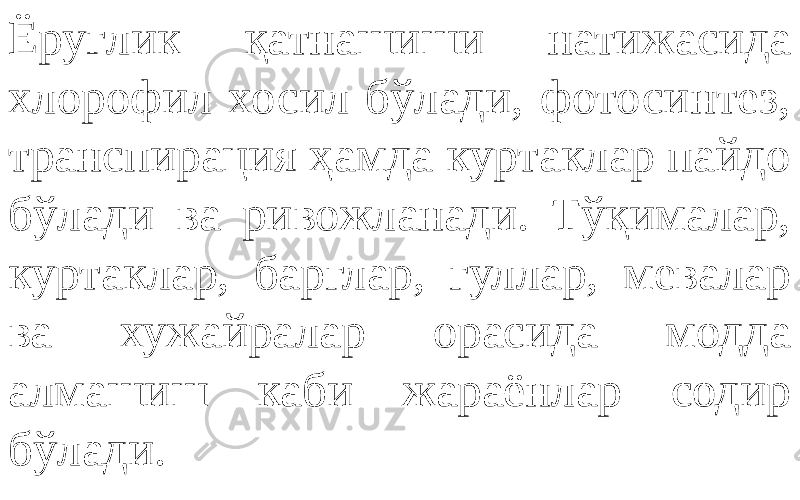 Ёруғлик қатнашиши натижасида хлорофил хосил бўлади, фотосинтез, транспирация ҳамда куртаклар пайдо бўлади ва ривожланади. Тўқималар, куртаклар, барглар, гуллар, мевалар ва хужайралар орасида модда алмашиш каби жараёнлар содир бўлади. 