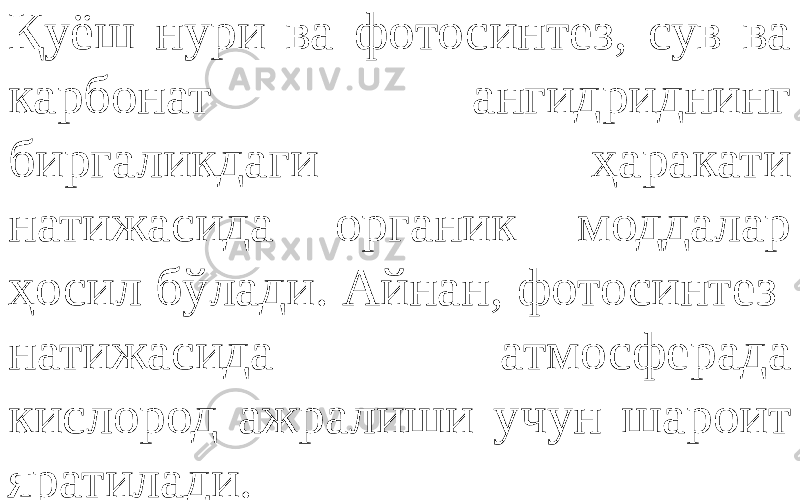 Қуёш нури ва фотосинтез, сув ва карбонат ангидриднинг биргаликдаги ҳаракати натижасида органик моддалар ҳосил бўлади. Айнан, фотосинтез натижасида атмосферада кислород ажралиши учун шароит яратилади. 