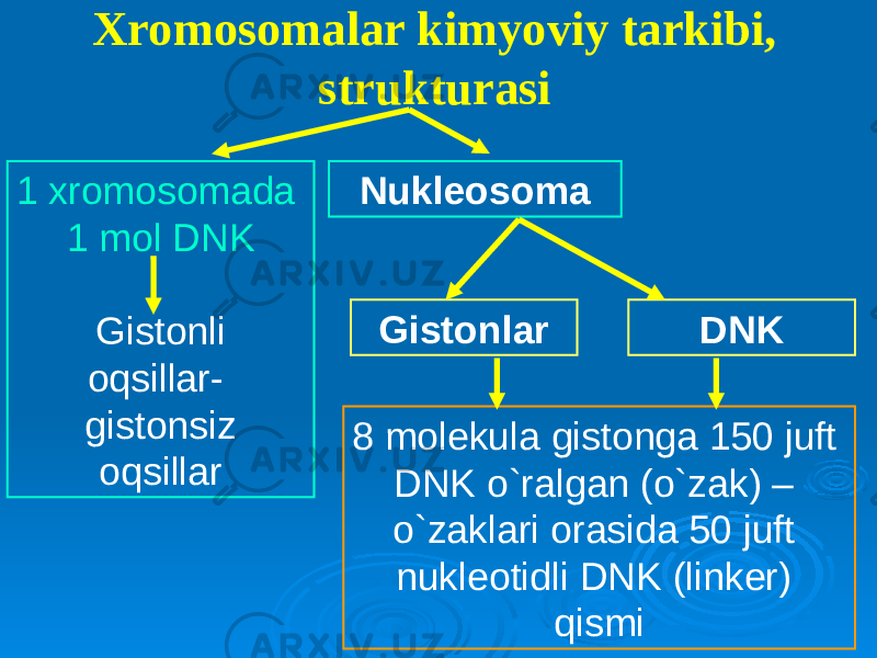 Xromosomalar kimyoviy tarkibi, strukturasi Nukleosoma 1 xromosomada 1 mol DNK Gistonli oqsillar- gistonsiz oqsillar Gistonlar DNK 8 molekula gistonga 150 juft DNK o`ralgan (o`zak) – o`zaklari orasida 50 juft nukleotidli DNK (linker) qismi 