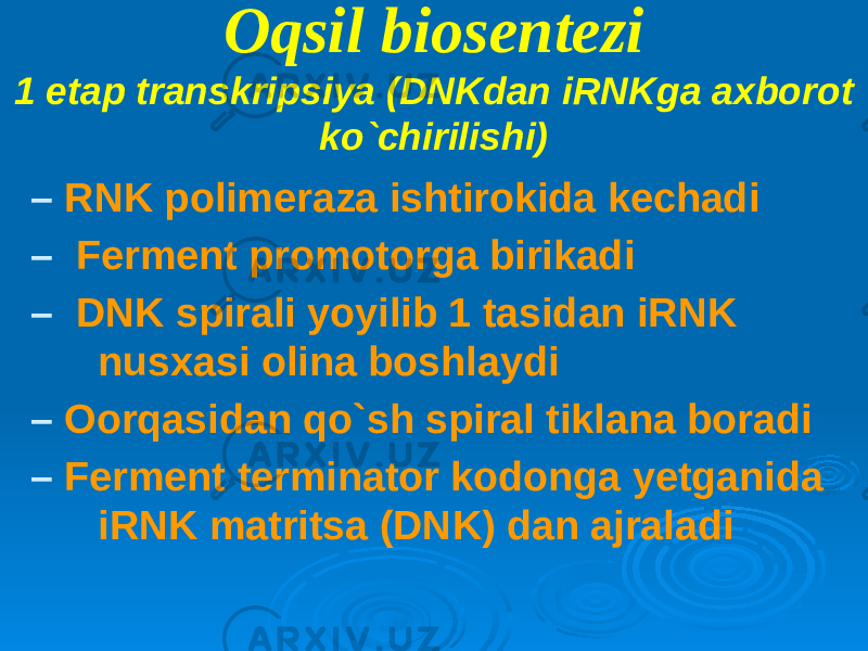 Oqsil biosentezi 1 etap transkripsiya (DNKdan iRNKga axborot ko`chirilishi) – RNK polimeraza ishtirokida kechadi – Ferment promotorga birikadi – DNK spirali yoyilib 1 tasidan iRNK nusxasi olina boshlaydi – Оorqasidan qo`sh spiral tiklana boradi – Ferment terminator kodonga yetganida iRNK matritsa (DNK) dan ajraladi 