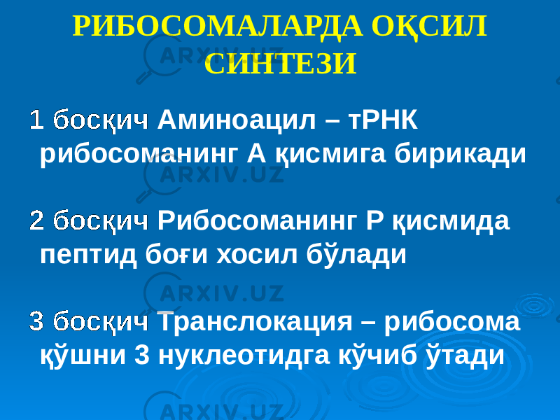 РИБОСОМАЛАРДА ОҚСИЛ СИНТЕЗИ 1 босқич Аминоацил – тРНК рибосоманинг А қисмига бирикади 2 босқич Рибосоманинг Р қисмида пептид боғи хосил бўлади 3 босқич Транслокация – рибосома қўшни 3 нуклеотидга кўчиб ўтади 