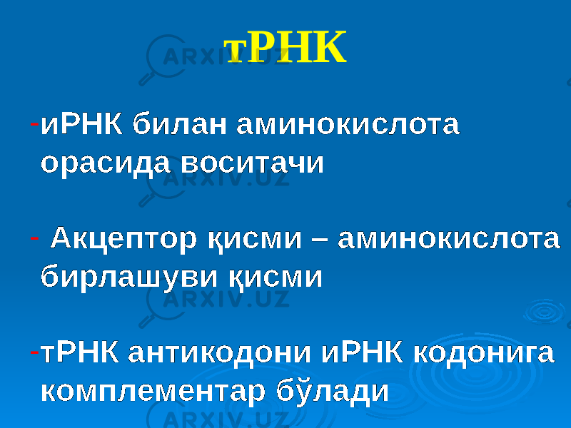 тРНК - иРНК билан аминокислота орасида воситачи - Акцептор қисми – аминокислота бирлашуви қисми - тРНК антикодони иРНК кодонига комплементар бўлади 