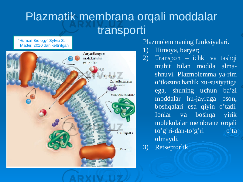 Plazmatik membrana orqali moddalar transporti Plazmolemmaning funksiyalari. 1) Himoya, baryer; 2) Transport – ichki va tashqi muhit bilan modda alma- shnuvi. Plazmolemma ya-rim o’tkazuvchanlik xu-susiyatiga ega, shuning uchun ba’zi moddalar hu-jayraga oson, boshqalari esa qiyin o’tadi. Ionlar va boshqa yirik molekulalar membrane orqali to’g’ri-dan-to’g’ri o’ta olmaydi. 3) Retseptorlik “ Human Biology” Sylvia S. Mader, 2010 dan keltirilgan 