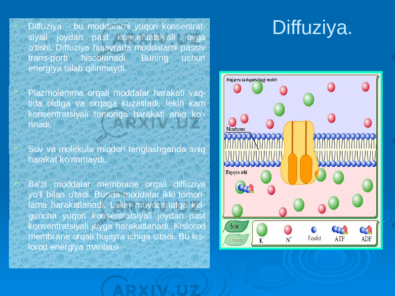  Diffuziya – bu moddalarni yuqori konsentrat- siyali joydan past konsentatsiyali joyga o’tishi. Diffuziya hujayrada moddalarni passiv trans-porti hisoblanadi. Buning uchun energiya talab qilinmaydi.  Plazmolemma orqali moddalar harakati vaq- tida oldiga va orqaga kuzatiladi, lekin kam konsentratsiyali tomonga harakati aniq ko’- rinadi.  Suv va molekula miqdori tenglashganda aniq harakat ko’rinmaydi.  Ba’zi moddalar membrane orqali diffuziya yo’li bilan o’tadi. Bunda moddalar ikki tomon- lama harakatlanadi. Lekin muvozanatga kel- guncha yuqori konsentratsiyali joydan past konsentratsiyali joyga harakatlanadi. Kislorod membrane orqali hujayra ichiga o’tadi. Bu kis- lorod energiya manbasi   Diffuziya. 