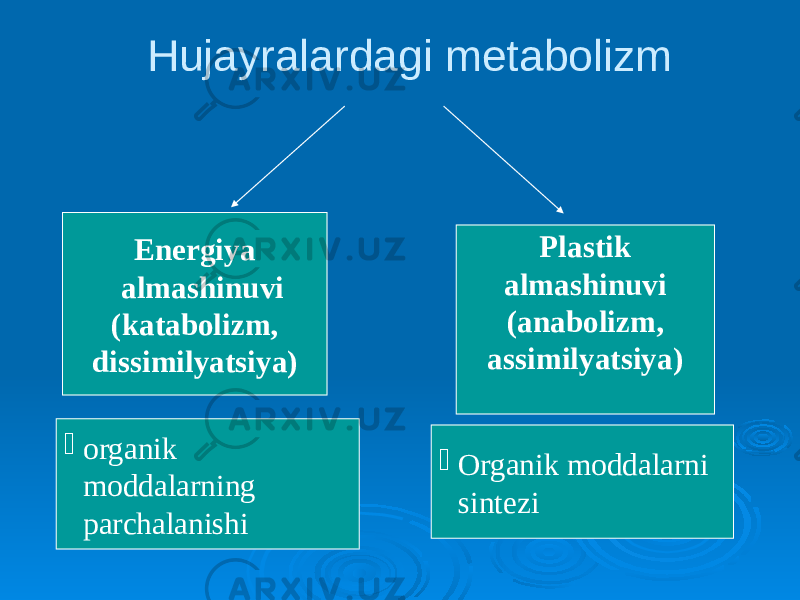 Hujayralardagi metabolizm Energiya almashinuvi (katabolizm, dissimilyatsiya) Plastik almashinuvi (anabolizm, assimilyatsiya)  organik moddalarning parchalanishi  Organik moddalarni sintezi 