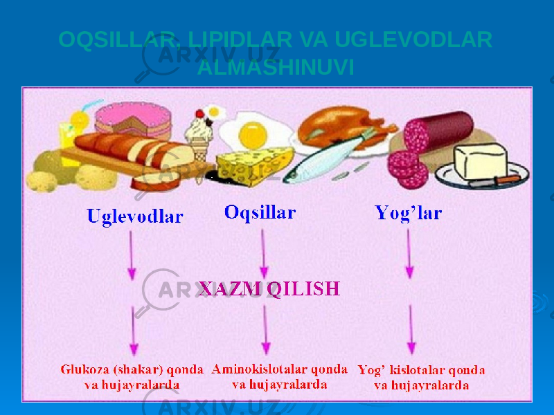 OQSILLAR, LIPIDLAR VA UGLEVODLAR ALMASHINUVI 