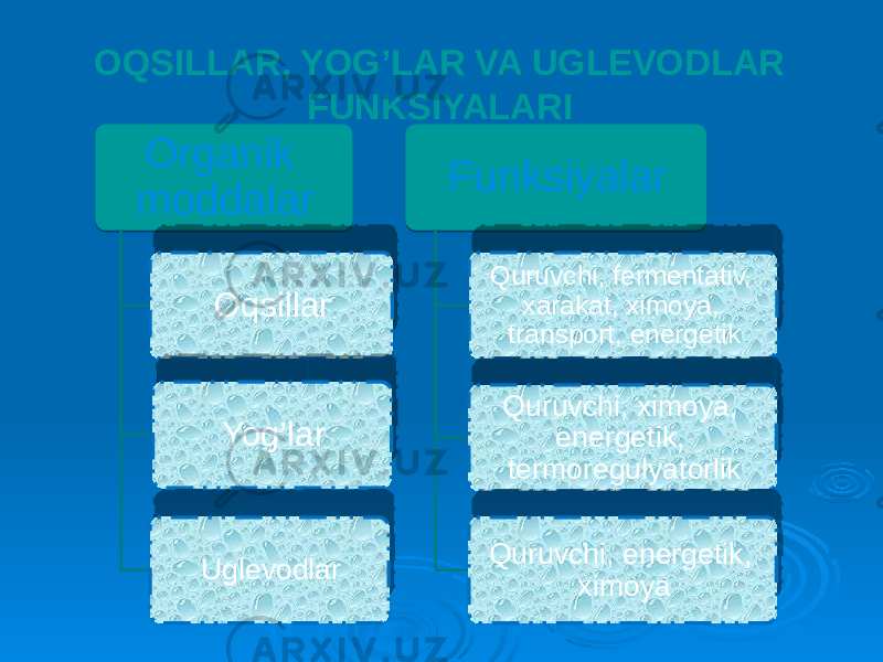 OQSILLAR, YOG’LAR VA UGLEVODLAR FUNKSIYALARI Organik moddalar Oqsillar Yog’lar Uglevodlar Funksiyalar Quruvchi, fermentativ, xarakat, ximoya, transport, energetik Quruvchi, ximoya, energetik, termoregulyatorlik Quruvchi, energetik, ximoya43 090A 43 4F 51 5217 5317 280C 1504 53 32 15 53 2806 