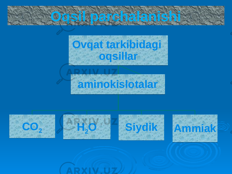 Oqsil parchalanishi Ovqat tarkibidagi oqsillar CO 2 H 2 O Siydik Ammiakaminokislotalar 35 0D 6D 14 69 14 35 22 3D 09 