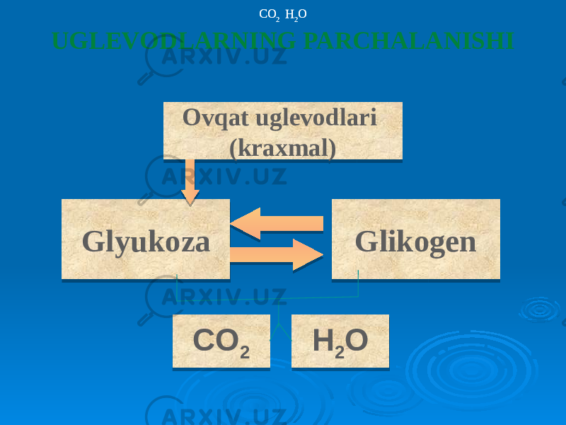 UGLEVODLARNING PARCHALANISHI Ovqat uglevodlari (kraxmal) GlikogenGlyukoza CO 2 H 2 OCO 2 H 2 OCO 2 H 2 O5E 2528 6029 60 6D 14 69 14 35 