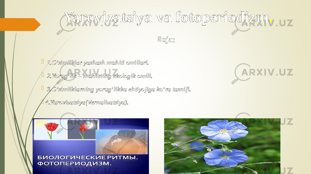 Yarovizatsiya va fotoperiodizm . Reja:  1.O’simliklar yashash muhiti omillari.  2.Yorug’lik – muhitning ekologik omili.  3.O’simliklarning yorug’likka ehtiyojiga ko’ra tasnifi.  4.Yarovizatsiya(Vernalizatsiya). 