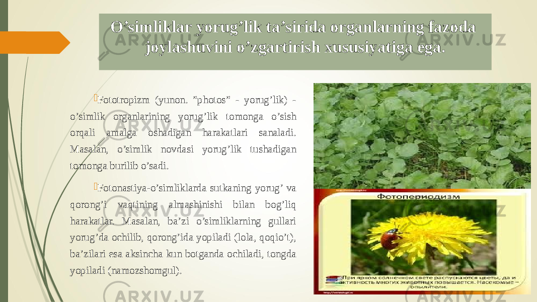 O’simliklar yorug’lik ta’sirida organlarning fazoda joylashuvini o’zgartirish xususiyatiga ega.  Fototropizm (yunon. ”photos” - yorug’lik) - o’simlik organlarining yorug’lik tomonga o’sish orqali amalga oshadigan harakatlari sanaladi. Masalan, o’simlik novdasi yorug’lik tushadigan tomonga burilib o’sadi.  Fotonastiya-o’simliklarda sutkaning yorug’ va qorong’i vaqtining almashinishi bilan bog’liq harakatlar. Masalan, ba’zi o’simliklarning gullari yorug’da ochilib, qorong’ida yopiladi (lola, qoqio’t), ba’zilari esa aksincha kun botganda ochiladi, tongda yopiladi (namozshomgul). 