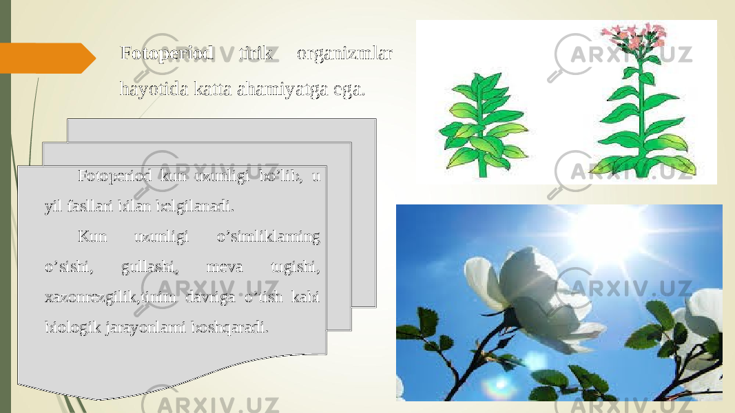 Fotoperiod tirik organizmlar hayotida katta ahamiyatga ega. Fotoperiod kun uzunligi bo’lib, u yil fasllari bilan belgilanadi. Kun uzunligi o’simliklarning o’sishi, gullashi, meva tugishi, xazonrezgilik,tinim davriga o’tish kabi biologik jarayonlarni boshqaradi. 