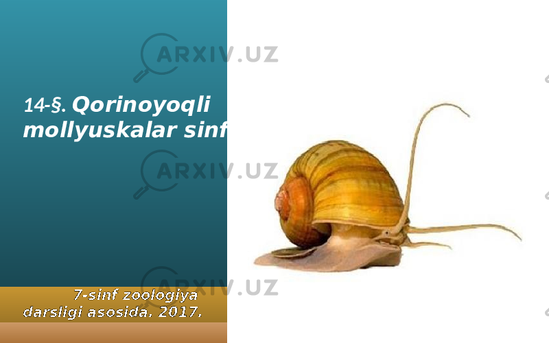 14-§. Qorinoyoqli mollyuskalar sinfi 7-sinf zoologiya darsligi asosida. 2017. 