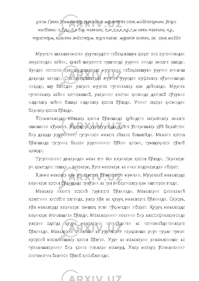 расм Гулли ўсимликлар уруғидаги муртак ва озиқ моддаларнинг ўзаро нисбати: а,б,в,г,д,л-бир паллали; е,ж,з,и,к,п,р,с,м-икки паллали; п,р,- перисперм, қолгани эндосперм. қора чизиқ- муртак шакли, оқ- озиқ модда Муртаги шаклланмаган уруғлардаги табақалашув фақат она организмдан ажрагандан кейин, қулай шароитга тушганда уруғни ичида амалга ошади. Бундан истисно орхидеядошларда муртакни табақалашуви уруғни етилиш даврида кечади. Орхидеядошларда муртак уруғдан пуфаклар кўринишида чиқади, шу боисдан уларни муртак туганаклар ҳам дейилади. Муртак туганаклар кейин катталашиб, уларнинг пастки қисмида дастлаб сўрувчи илдизлар кейин бошқа илдизлар ҳосил бўлади. Унинг юқори қисмидан барглар ҳосил бўлади. Ўсимликларда мевалар ҳосил бўлишида қуйидаги жараёнлар амалга ошишини кўрамиз. Уруғдаги уруғкуртакда қайта ўзгаришлар рўй бераётган бир даврда уруғчининг тугунчаси мевага айлана бошлайди. Мевани ҳосил бўлишида тугунча баъзан уруғчининг бўйин қисми, тумшуқчаси сўлиб қолади. Тугунчанинг деворидан мева эти ёки перикарп ҳосил бўлади. Перикарп уч қаватдан: ташқи – экзокарп, ўрта мезокарп ва ички эндокарпдан иборат. Ҳамма мевалар ҳам уч қаватли бўлмаслиги мумкин. Мураккаб меваларда перикарп ҳосил бўлишида гулўрин ва гул ёнбаргчалар ҳам иштирок этади. Мевалар иккита асосий группага бўлинади. Меваларни физикавий ҳолатини ҳисобга олганда, улар хўл ва қуруқ меваларга бўлинади. Серсув, хўл меваларда перикарп юмшоқ этли тўқимадан иборат. Қуруқ меваларда перикарп ёғочлашган бўлади. Маваларнинг иккинчи бир классификациясида уларни одатда қуруқ меваларни чатнайдиган ва чатнамайдиганларга бўлинади. Меваларни очилиши ва уруғларни тарқалиши учун турли туман хусусий мосланишлар ҳосил бўлган. Уруғ ва меваларни ривожланиши ва тузилишларнинг бир қанча типлари мавжуд. Улар мазкур ўсимликнинг систематик белгиси бўлиб ҳисобланади. 