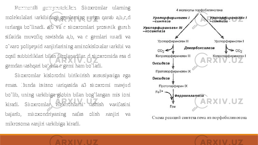 Fermentli gemproteidlar. Sitoxromlar ularning molekulalari tarkibidagi gemlarning turiga qarab a,b,c,d turlarga bo`linadi. a,b va c sitoxromlari prostetik guruh sifatida muvofiq ravishda a,b, va c gemlari tutadi va o`zaro polipeptid zanjirlarining aminokislotalar tarkibi va oqsil subbirliklari bilan farqlanadilar. d sitoxromida esa d gemdan tashqari ba’zida c gemi ham bo`ladi. Sitoxromlar kislorodni biriktirish xususiyatiga ega emas. Bunda istisno tariqasida a3 sitoxromi mavjud bo`lib, uning tarkibiga globin bilan bog`langan mis ioni kiradi. Sitoxromlar elektronlarni tashish vazifasini bajarib, mitoxondriyaning nafas olish zanjiri va mikrosoma zanjiri tarkibiga kiradi. 