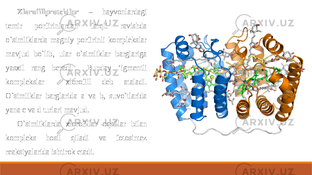 Xlorofillproteidlar – hayvonlardagi temir porfirinlardan farqli ravishda o`simliklarda magniy porfirinli komplekslar mavjud bo`lib, ular o`simliklar barglariga yasxil rang beradi. Bunday ‘igmentli komplekslar xlorofill deb ataladi. O`simliklar barglarida a va b, suvo`tlarida yana c va d turlari mavjud. O`simliklarda xlorofillar oqsillar bilan kompleks hosil qiladi va fotosintez reaksiyalarida ishtirok etadi. 