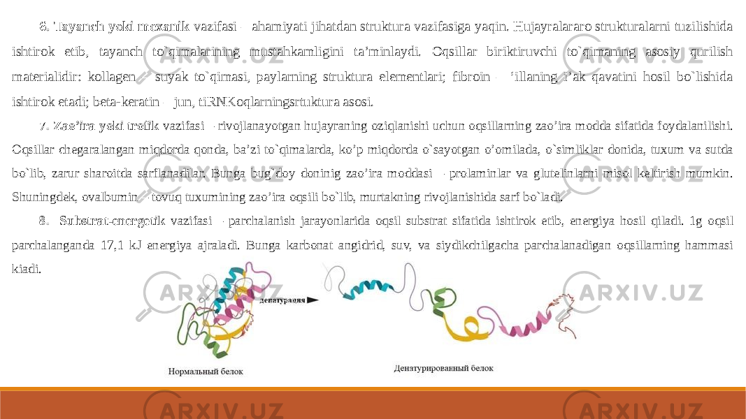 6. Tayanch yoki mexanik vazifasi – ahamiyati jihatdan struktura vazifasiga yaqin. Hujayralararo strukturalarni tuzilishida ishtirok etib, tayanch to`qimalarining mustahkamligini ta’minlaydi. Oqsillar biriktiruvchi to`qimaning asosiy qurilish materialidir: kollagen – suyak to`qimasi, paylarning struktura elementlari; fibroin – ‘illaning i’ak qavatini hosil bo`lishida ishtirok etadi; beta-keratin – jun, tiRNKoqlarningsrtuktura asosi. 7. Zao’ira yoki trofik vazifasi – rivojlanayotgan hujayraning oziqlanishi uchun oqsillarning zao’ira modda sifatida foydalanilishi. Oqsillar chegaralangan miqdorda qonda, ba’zi to`qimalarda, ko’p miqdorda o`sayotgan o’omilada, o`simliklar donida, tuxum va sutda bo`lib, zarur sharoitda sarflanadilar. Bunga bug`doy doninig zao’ira moddasi – prolaminlar va glutelinlarni misol keltirish mumkin. Shuningdek, ovalbumin – tovuq tuxumining zao’ira oqsili bo`lib, murtakning rivojlanishida sarf bo`ladi. 8. Substrat-energetik vazifasi – parchalanish jarayonlarida oqsil substrat sifatida ishtirok etib, energiya hosil qiladi. 1g oqsil parchalanganda 17,1 kJ energiya ajraladi. Bunga karbonat angidrid, suv, va siydikchilgacha parchalanadigan oqsillarning hammasi kiadi. 