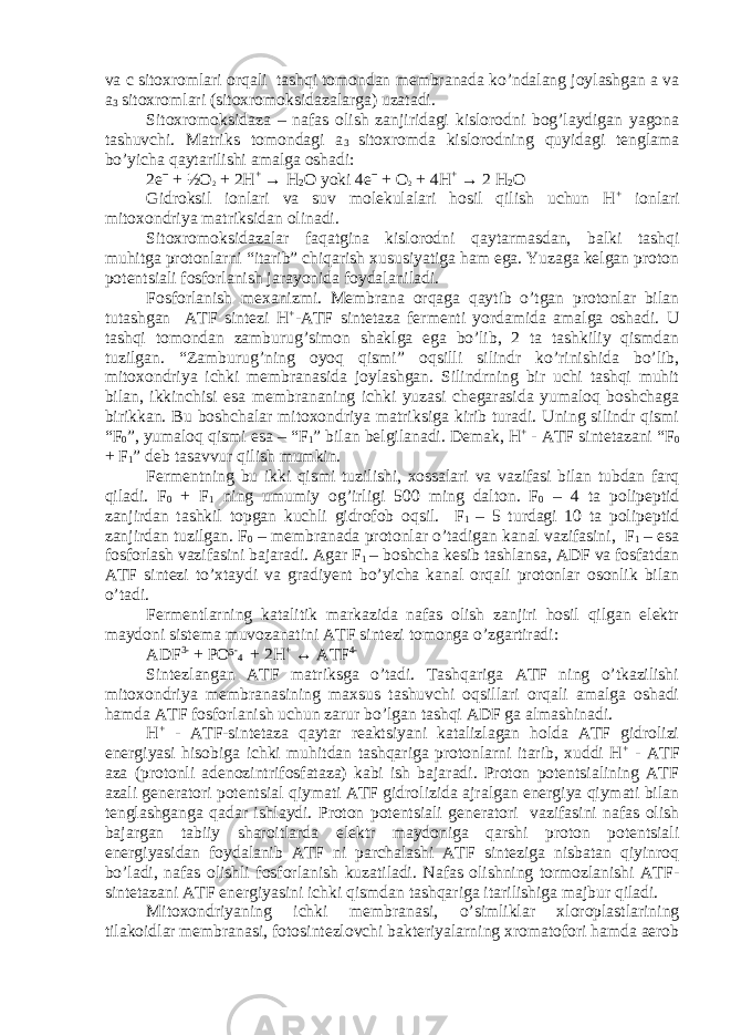 va с sitoxromlari orqali tashqi tomondan membranada ko’ndalang joylashgan a va a 3 sitoxromlari (sitoxromoksidazalarga) uzatadi. Sitoxromoksidaza – nafas olish zanjiridagi kislorodni bog’laydigan yagona tashuvchi. Matriks tomondagi a 3 sitoxromda kislorodning quyidagi tenglama bo’yicha qaytarilishi amalga oshadi: 2eˉ + ½O 2 + 2H + → H 2 O yoki 4eˉ + O 2 + 4H + → 2 H 2 O Gidroksil ionlari va suv molekulalari hosil qilish uchun H + ionlari mitoxondriya matriksidan olinadi. Sitoxromoksidazalar faqatgina kislorodni qaytarmasdan, balki tashqi muhitga protonlarni “itarib” chiqarish xususiyatiga ham ega. Yuzaga kelgan proton potentsiali fosforlanish jarayonida foydalaniladi. Fosforlanish mexanizmi. Membrana orqaga qaytib o’tgan protonlar bilan tutashgan ATF sintezi H + -ATF sintetaza fermenti yordamida amalga oshadi. U tashqi tomondan zamburug’simon shaklga ega bo’lib, 2 ta tashkiliy qismdan tuzilgan. “Zamburug’ning oyoq qismi” oqsilli silindr ko’rinishida bo’lib, mitoxondriya ichki membranasida joylashgan. Silindrning bir uchi tashqi muhit bilan, ikkinchisi esa membrananing ichki yuzasi chegarasida yumaloq boshchaga birikkan. Bu boshchalar mitoxondriya matriksiga kirib turadi. Uning silindr qismi “F 0 ”, yumaloq qismi esa – “F 1 ” bilan belgilanadi. Demak, H + - ATF sintetazani “F 0 + F 1 ” deb tasavvur qilish mumkin. Fermentning bu ikki qismi tuzilishi, xossalari va vazifasi bilan tubdan farq qiladi. F 0 + F 1 ning umumiy og’irligi 500 ming dalton. F 0 – 4 ta polipeptid zanjirdan tashkil topgan kuchli gidrofob oqsil. F 1 – 5 turdagi 10 ta polipeptid zanjirdan tuzilgan. F 0 – membranada protonlar o’tadigan kanal vazifasini, F 1 – esa fosforlash vazifasini bajaradi. Agar F 1 – boshcha kesib tashlansa, ADF va fosfatdan ATF sintezi to’xtaydi va gradiyent bo’yicha kanal orqali protonlar osonlik bilan o’tadi. Fermentlarning katalitik markazida nafas olish zanjiri hosil qilgan elektr maydoni sistema muvozanatini ATF sintezi tomonga o’zgartiradi: ADF 3- + PO³ - 4 + 2H + ↔ ATF 4 - Sintezlangan ATF matriksga o’tadi. Tashqariga ATF ning o’tkazilishi mitoxondriya membranasining maxsus tashuvchi oqsillari orqali amalga oshadi hamda ATF fosforlanish uchun zarur bo’lgan tashqi ADF ga almashinadi. H + - ATF-sintetaza qaytar reaktsiyani katalizlagan holda ATF gidrolizi energiyasi hisobiga ichki muhitdan tashqariga protonlarni itarib, xuddi H + - ATF aza (protonli adenozintrifosfataza) kabi ish bajaradi. Proton potentsialining ATF azali generatori potentsial qiymati ATF gidrolizida ajralgan energiya qiymati bilan tenglashganga qadar ishlaydi. Proton potentsiali generatori vazifasini nafas olish bajargan tabiiy sharoitlarda elektr maydoniga qarshi proton potentsiali energiyasidan foydalanib ATF ni parchalashi ATF sinteziga nisbatan qiyinroq bo’ladi, nafas olishli fosforlanish kuzatiladi. Nafas olishning tormozlanishi ATF- sintetazani ATF energiyasini ichki qismdan tashqariga itarilishiga majbur qiladi. Mitoxondriyaning ichki membranasi, o’simliklar xloroplastlarining tilakoidlar membranasi, fotosintezlovchi bakteriyalarning xromatofori hamda aerob 