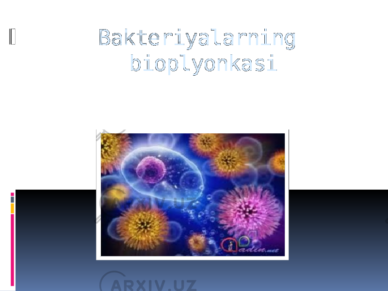 Bakteriyalarning bioplyonkasi 