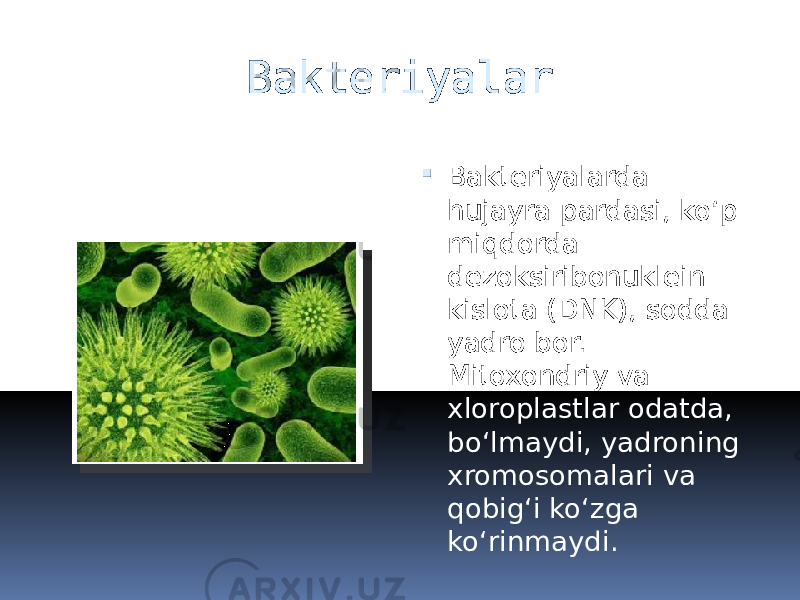 Bakteriyalar  Bakteriyalarda hujayra pardasi, koʻp miqdorda dezoksiribonuklein kislota (DNK), sodda yadro bor. Mitoxondriy va xloroplastlar odatda, boʻlmaydi, yadroning xromosomalari va qobigʻi koʻzga koʻrinmaydi. 