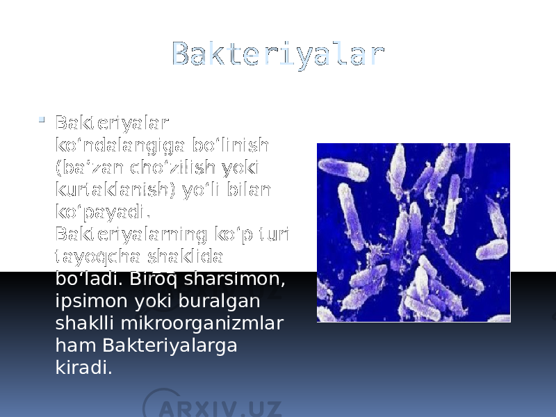 Bakteriyalar  Bakteriyalar koʻndalangiga boʻlinish (baʼzan choʻzilish yoki kurtaklanish) yoʻli bilan koʻpayadi. Bakteriyalarning koʻp turi tayoqcha shaklida boʻladi. Biroq sharsimon, ipsimon yoki buralgan shaklli mikroorganizmlar ham Bakteriyalarga kiradi. 