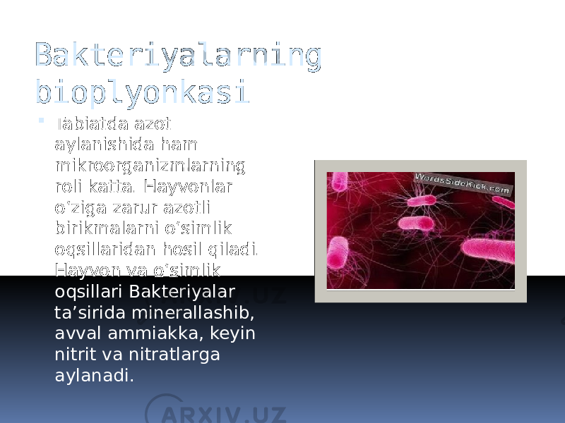 Bakteriyalarning bioplyonkasi  Tabiatda azot aylanishida ham mikroorganizmlarning roli katta. Hayvonlar oʻziga zarur azotli birikmalarni oʻsimlik oqsillaridan hosil qiladi. Hayvon va oʻsimlik oqsillari Bakteriyalar taʼsirida minerallashib, avval ammiakka, keyin nitrit va nitratlarga aylanadi. 