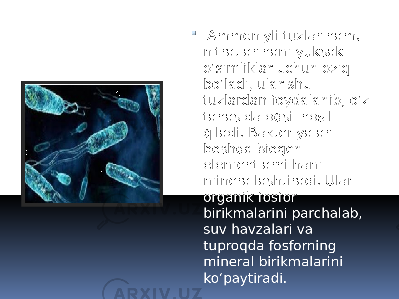  Ammoniyli tuzlar ham, nitratlar ham yuksak oʻsimliklar uchun oziq boʻladi, ular shu tuzlardan foydalanib, oʻz tanasida oqsil hosil qiladi. Bakteriyalar boshqa biogen elementlarni ham minerallashtiradi. Ular organik fosfor birikmalarini parchalab, suv havzalari va tuproqda fosforning mineral birikmalarini koʻpaytiradi. 