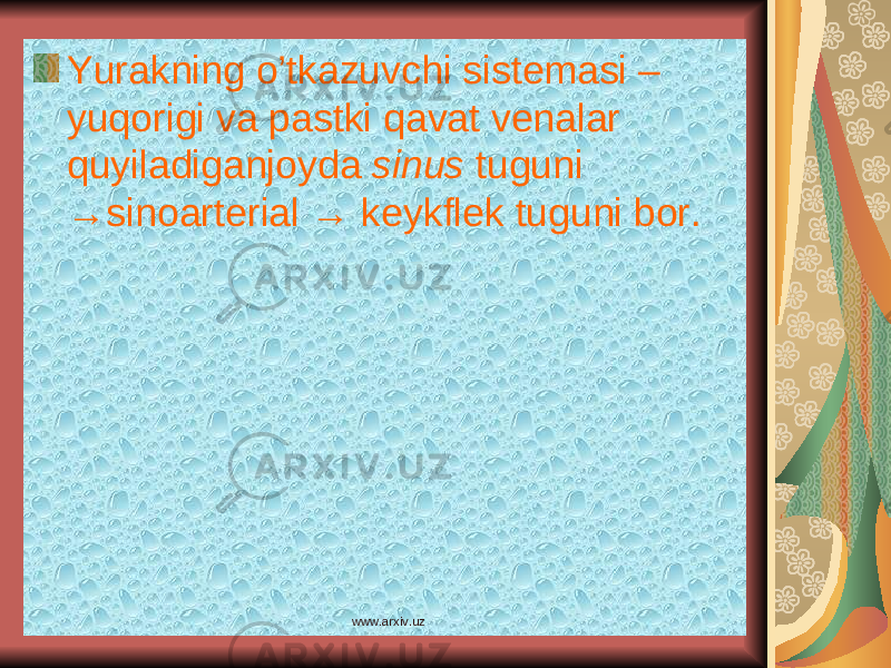 Yurakning o’tkazuvchi sistemasi – yuqorigi va pastki qavat venalar quyiladiganjoyda sinus tuguni →sinoarterial → keykflek tuguni bor. www.arxiv.uz 