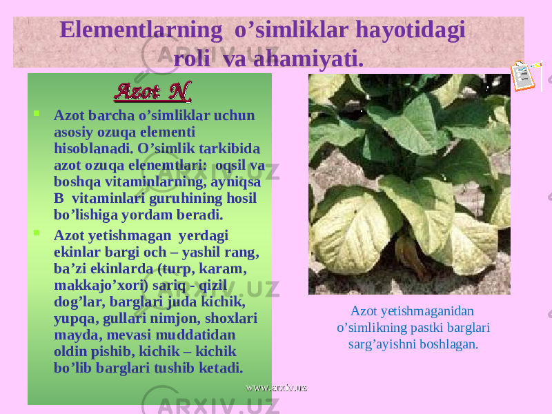 Elementlarning o’simliklar hayotidagi roli va ahamiyati. Azot NAzot N  Azot barcha o’simliklar uchun asosiy ozuqa elementi hisoblanadi. O’simlik tarkibida azot ozuqa elenemtlari: oqsil va boshqa vitaminlarning, ayniqsa B vitaminlari guruhining hosil bo’lishiga yordam beradi.  Azot yetishmagan yerdagi ekinlar bargi och – yashil rang, ba’zi ekinlarda (turp, karam, makkajo’xori) sariq - qizil dog’lar, barglari juda kichik, yupqa, gullari nimjon, shoxlari mayda, mevasi muddatidan oldin pishib, kichik – kichik bo’lib barglari tushib ketadi. Azot yetishmaganidan o’simlikning pastki barglari sarg’ayishni boshlagan. www.arxiv.uzwww.arxiv.uz 