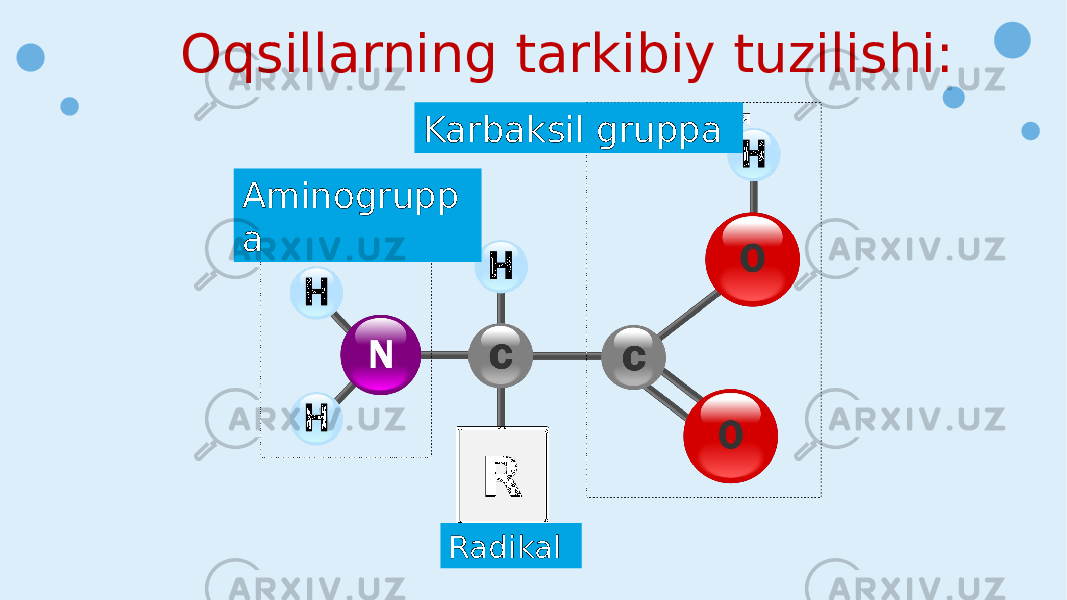 Oqsillarning tarkibiy tuzilishi: Aminogrupp a RadikalKarbaksil gruppa 