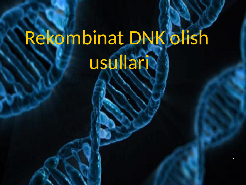 Rekombinat DNK olish usullari 