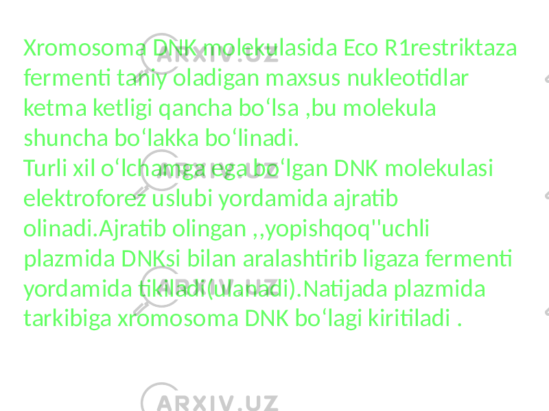 Xromosoma DNK molekulasida Eco R1restriktaza fermenti taniy oladigan maxsus nukleotidlar ketma ketligi qancha boʻlsa ,bu molekula shuncha boʻlakka boʻlinadi. Turli xil oʻlchamga ega boʻlgan DNK molekulasi elektroforez uslubi yordamida ajratib olinadi.Ajratib olingan ,,yopishqoq&#39;&#39;uchli plazmida DNKsi bilan aralashtirib ligaza fermenti yordamida tikiladi(ulanadi).Natijada plazmida tarkibiga xromosoma DNK boʻlagi kiritiladi . 