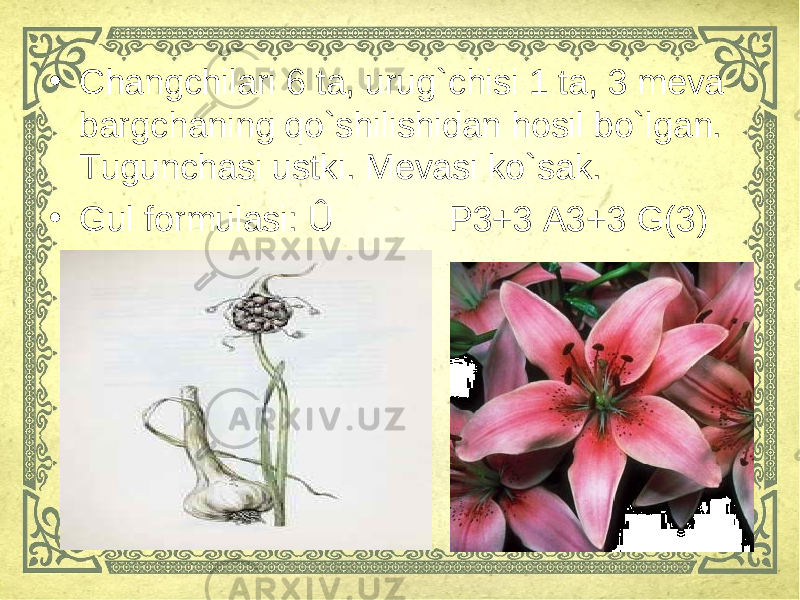 • Changchilari 6 ta, urug`chisi 1 ta, 3 meva bargchaning qo`shilishidan hosil bo`lgan. Tugunchasi ustki. Mevasi ko`sak. • Gul formulasi: Û P3+3 A3+3 G(3) 