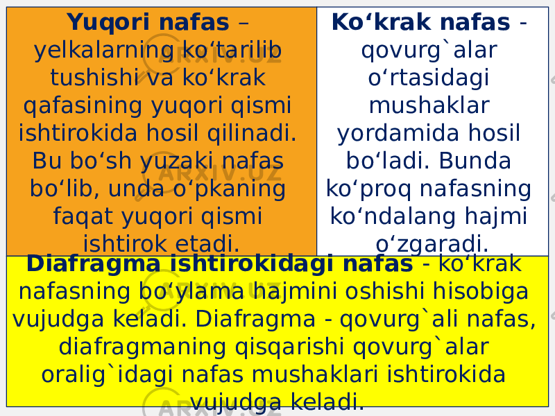 Yuqori nafas – yelkalarning ko‘tarilib tushishi va ko‘krak qafasining yuqori qismi ishtirokida hosil qilinadi. Bu bo‘sh yuzaki nafas bo‘lib, unda o‘pkaning faqat yuqori qismi ishtirok etadi. Ko‘krak nafas - qovurg`alar o‘rtasidagi mushaklar yordamida hosil bo‘ladi. Bunda ko‘proq nafasning ko‘ndalang hajmi o‘zgaradi. Diafragma ishtirokidagi nafas - ko‘krak nafasning bo‘ylama hajmini oshishi hisobiga vujudga keladi. Diafragma - qovurg`ali nafas, diafragmaning qisqarishi qovurg`alar oralig`idagi nafas mushaklari ishtirokida vujudga keladi. 