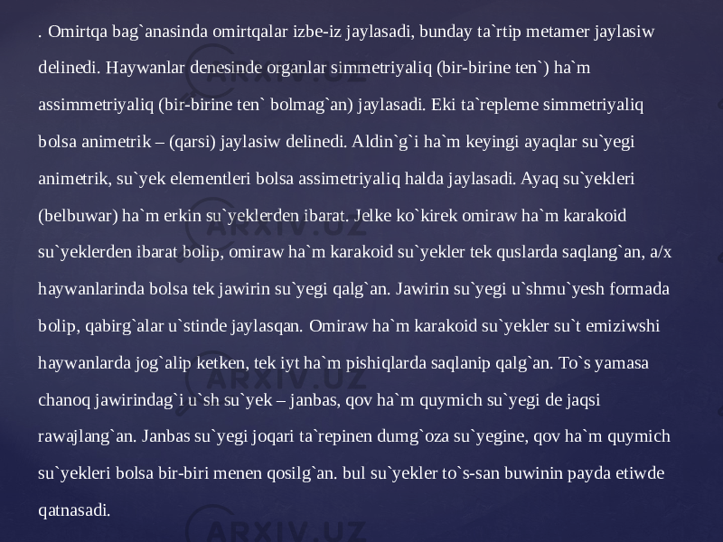 . Omirtqa bag`anasinda omirtqalar izbe-iz jaylasadi, bunday ta`rtip metamer jaylasiw delinedi. Haywanlar denesinde organlar simmetriyaliq (bir-birine ten`) ha`m assimmetriyaliq (bir-birine ten` bolmag`an) jaylasadi. Eki ta`repleme simmetriyaliq bolsa animetrik – (qarsi) jaylasiw delinedi. Aldin`g`i ha`m keyingi ayaqlar su`yegi animetrik, su`yek elementleri bolsa assimetriyaliq halda jaylasadi. Ayaq su`yekleri (belbuwar) ha`m erkin su`yeklerden ibarat. Jelke ko`kirek omiraw ha`m karakoid su`yeklerden ibarat bolip, omiraw ha`m karakoid su`yekler tek quslarda saqlang`an, a/x haywanlarinda bolsa tek jawirin su`yegi qalg`an. Jawirin su`yegi u`shmu`yesh formada bolip, qabirg`alar u`stinde jaylasqan. Omiraw ha`m karakoid su`yekler su`t emiziwshi haywanlarda jog`alip ketken, tek iyt ha`m pishiqlarda saqlanip qalg`an. To`s yamasa chanoq jawirindag`i u`sh su`yek – janbas, qov ha`m quymich su`yegi de jaqsi rawajlang`an. Janbas su`yegi joqari ta`repinen dumg`oza su`yegine, qov ha`m quymich su`yekleri bolsa bir-biri menen qosilg`an. bul su`yekler to`s-san buwinin payda etiwde qatnasadi. 