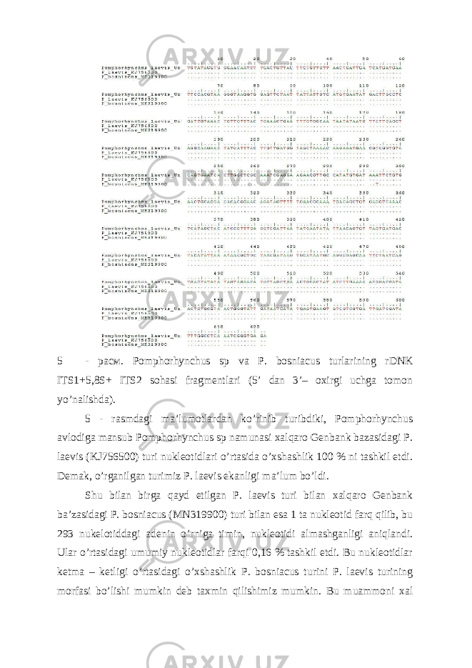  5 - расм . Pomphorhynchus sp va P. bosniacus turlarining rDNK ITS1+5,8S+ ITS2 sohasi fragmentlari (5’ dan 3’– oxirgi uchga tomon yo’nalishda). 5 - rasmdagi ma’lumotlardan ko’rinib turibdiki, Pomphorhynchus avlodiga mansub Pomphorhynchus sp namunasi xalqaro Genbank bazasidagi P. laevis (KJ756500) turi nukleotidlari o’rtasida o’xshashlik 100 % ni tashkil etdi. Demak, o’rganilgan turimiz P. laevis ekanligi ma’lum bo’ldi. Shu bilan birga qayd etilgan P. laevis turi bilan xalqaro Genbank ba’zasidagi P. bosniacus (MN319900) turi bilan esa 1 ta nukleotid farq qilib, bu 293 nukelotiddagi adenin o’rniga timin, nukleotidi almashganligi aniqlandi. Ular o’rtasidagi umumiy nukleotidlar farqi 0,16 % tashkil etdi. Bu nukleotidlar ketma – ketligi o’rtasidagi o’xshashlik P. bosniacus turini P. laevis turining morfasi bo’lishi mumkin deb taxmin qilishimiz mumkin. Bu muammoni xal 